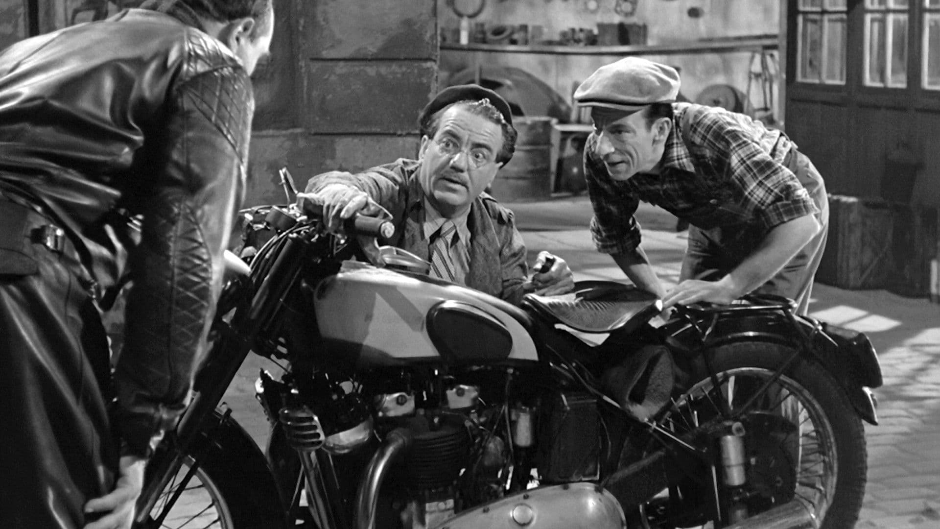 Le belle della notte