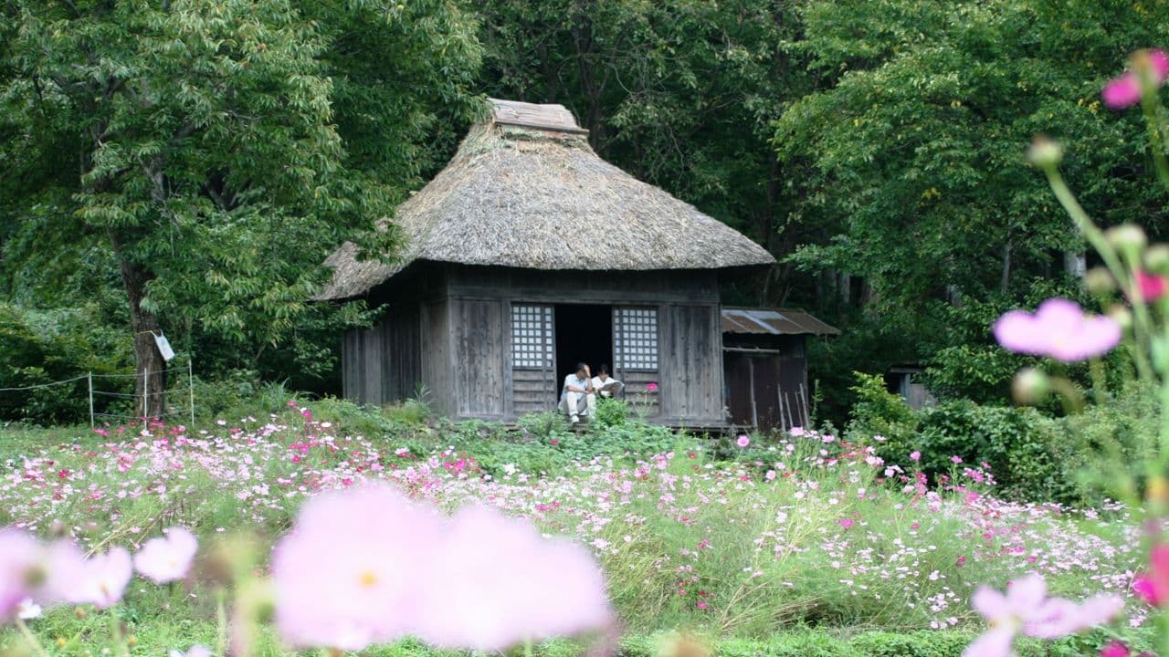 Letters from the mountains