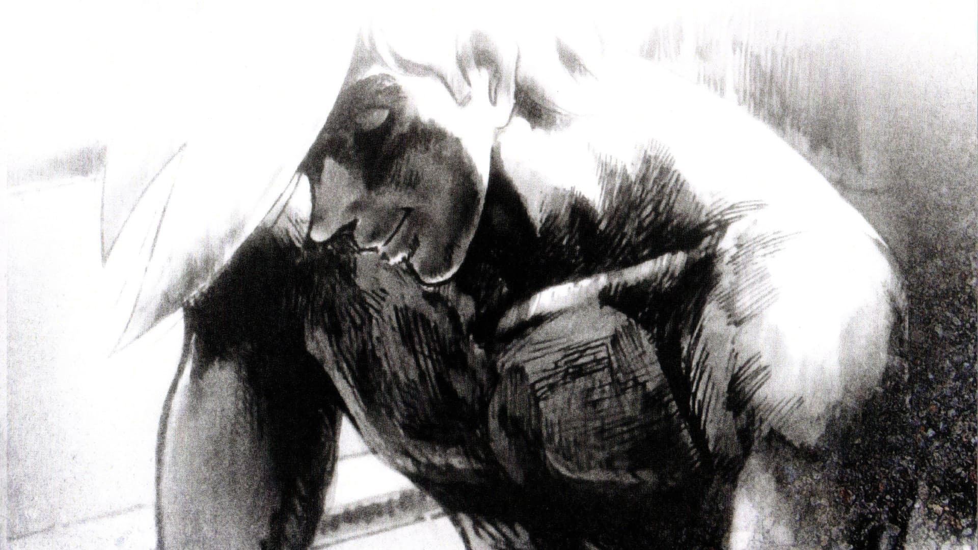 Rocky Joe: L'ultimo round