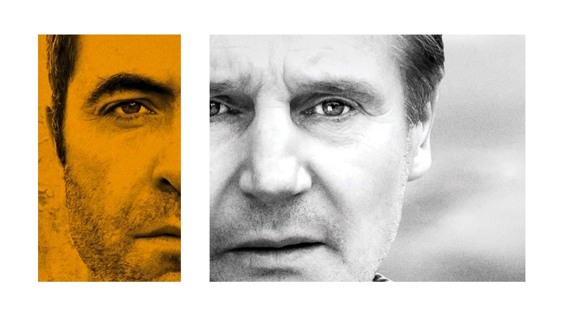 L'ombra della vendetta