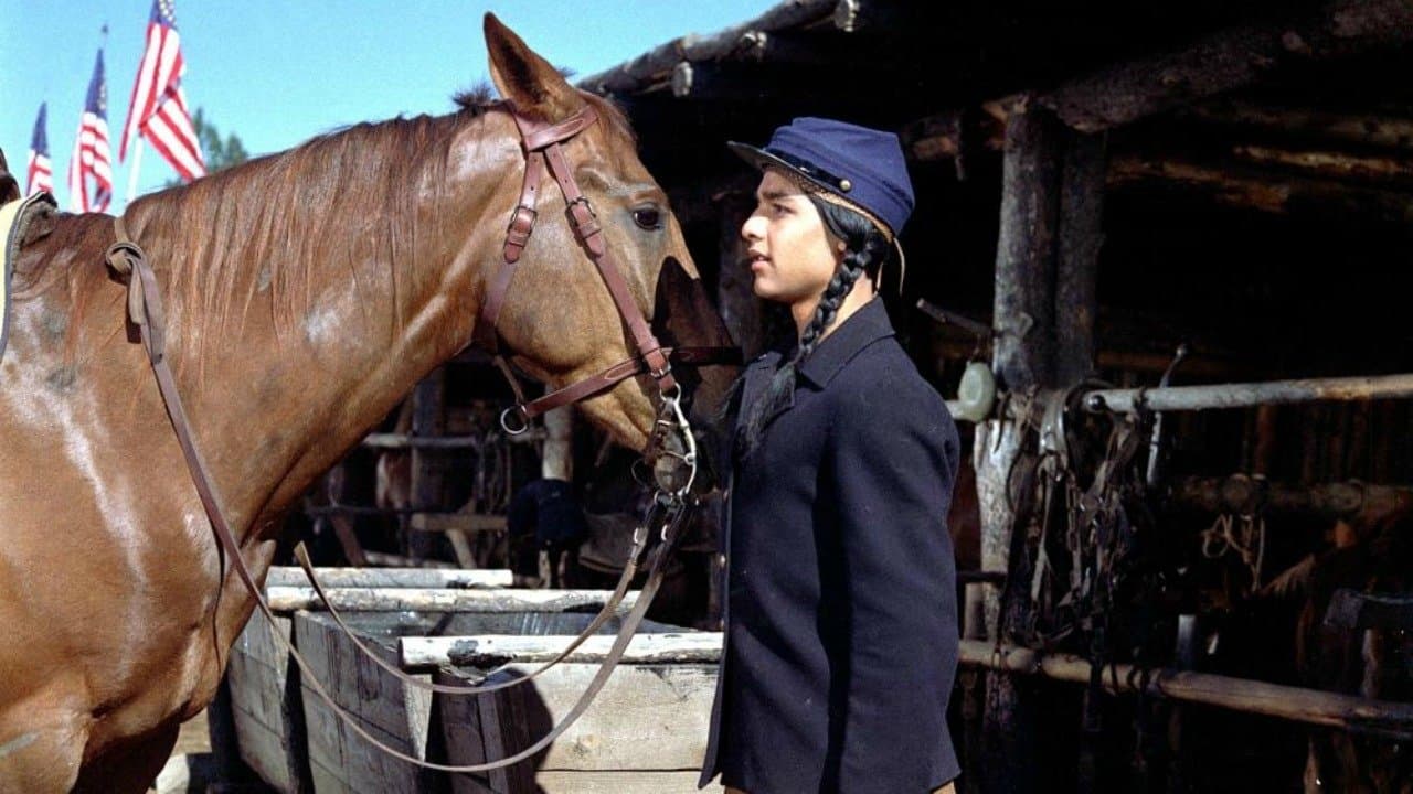 L'ultima battaglia del generale Custer