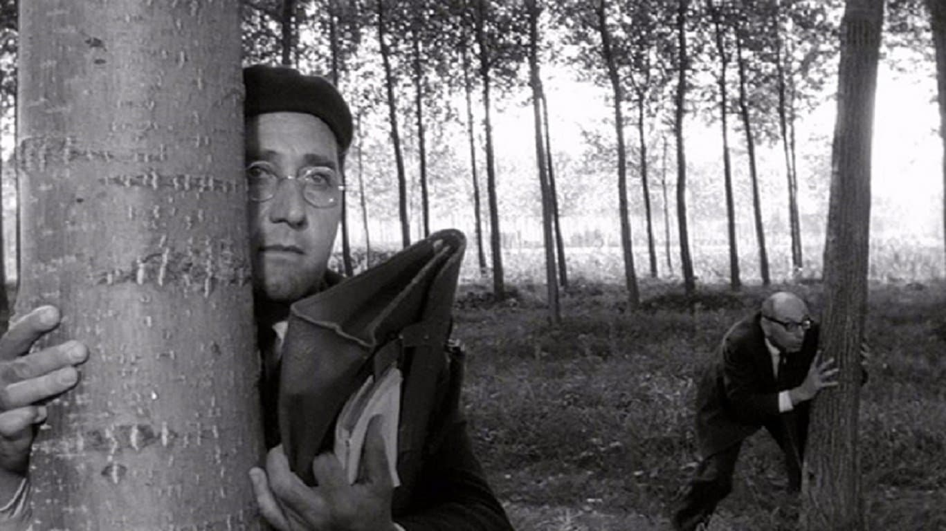 Il maestro di Vigevano