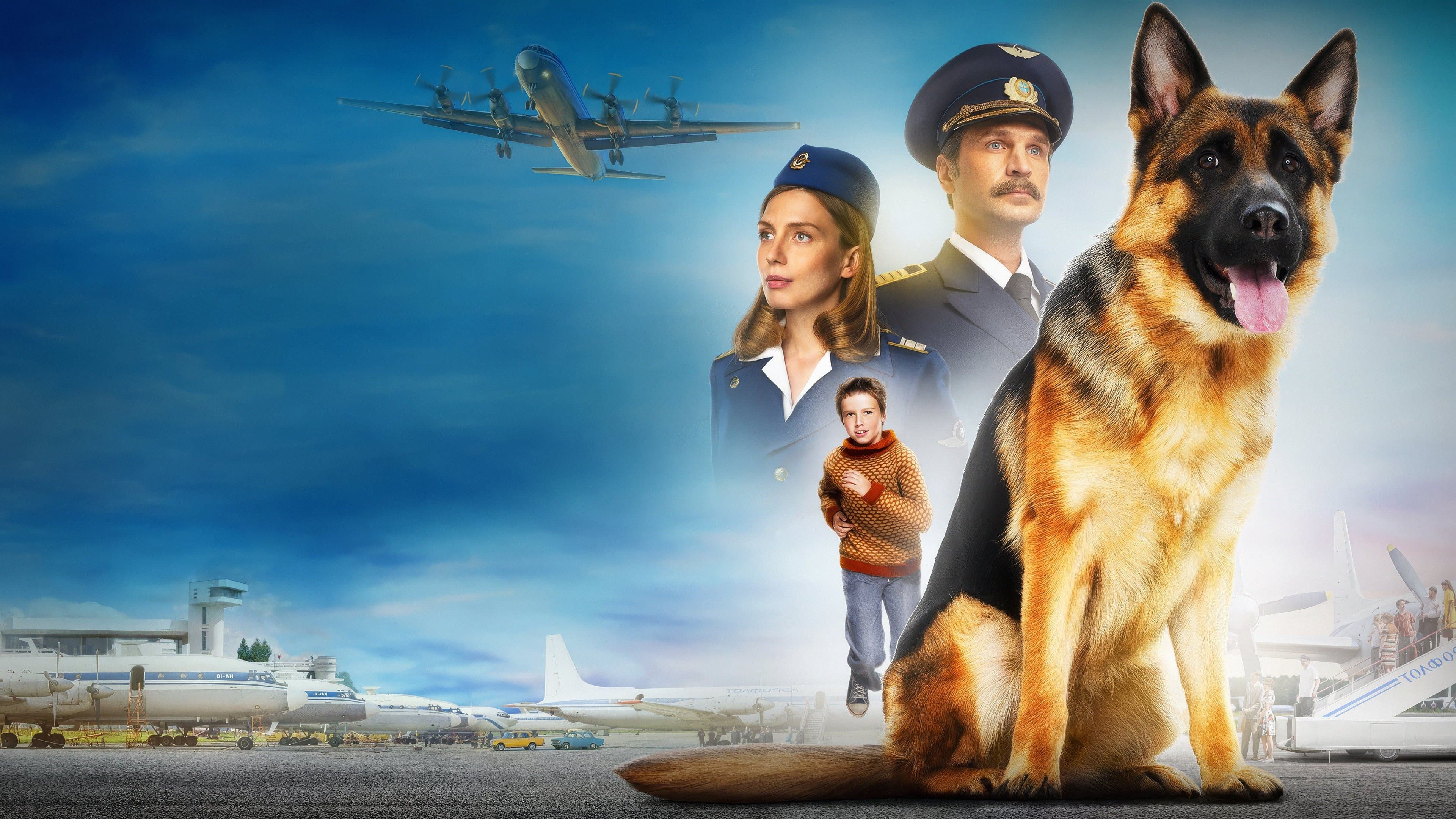 Palma – Un amore di cane