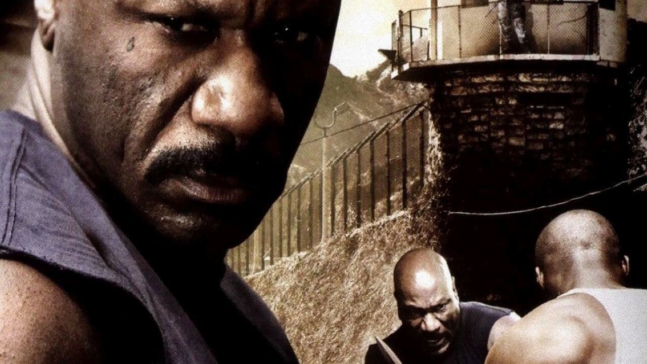 Animali in gabbia: nessuna pietà