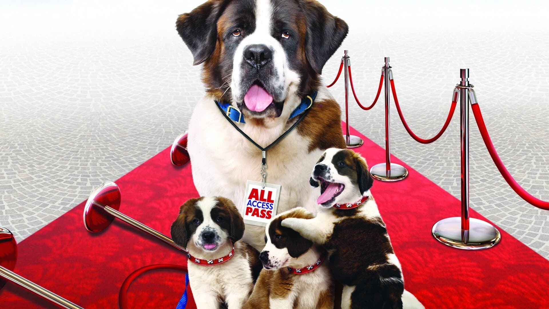 Beethoven - A caccia di Oss... car!