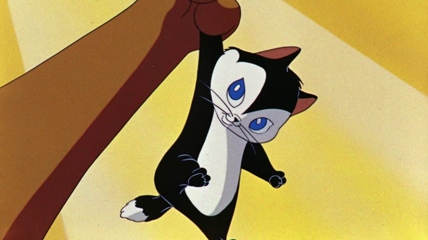 L'importanza di chiamarsi gatto