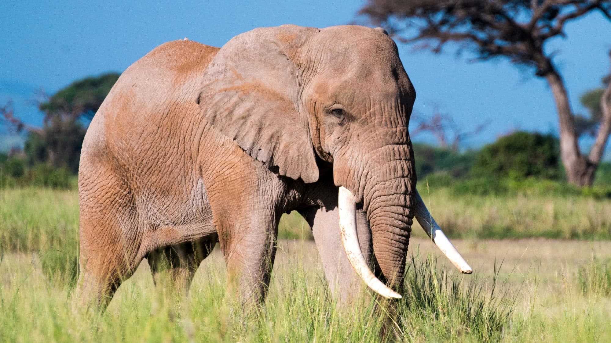 Vieillir dans la nature