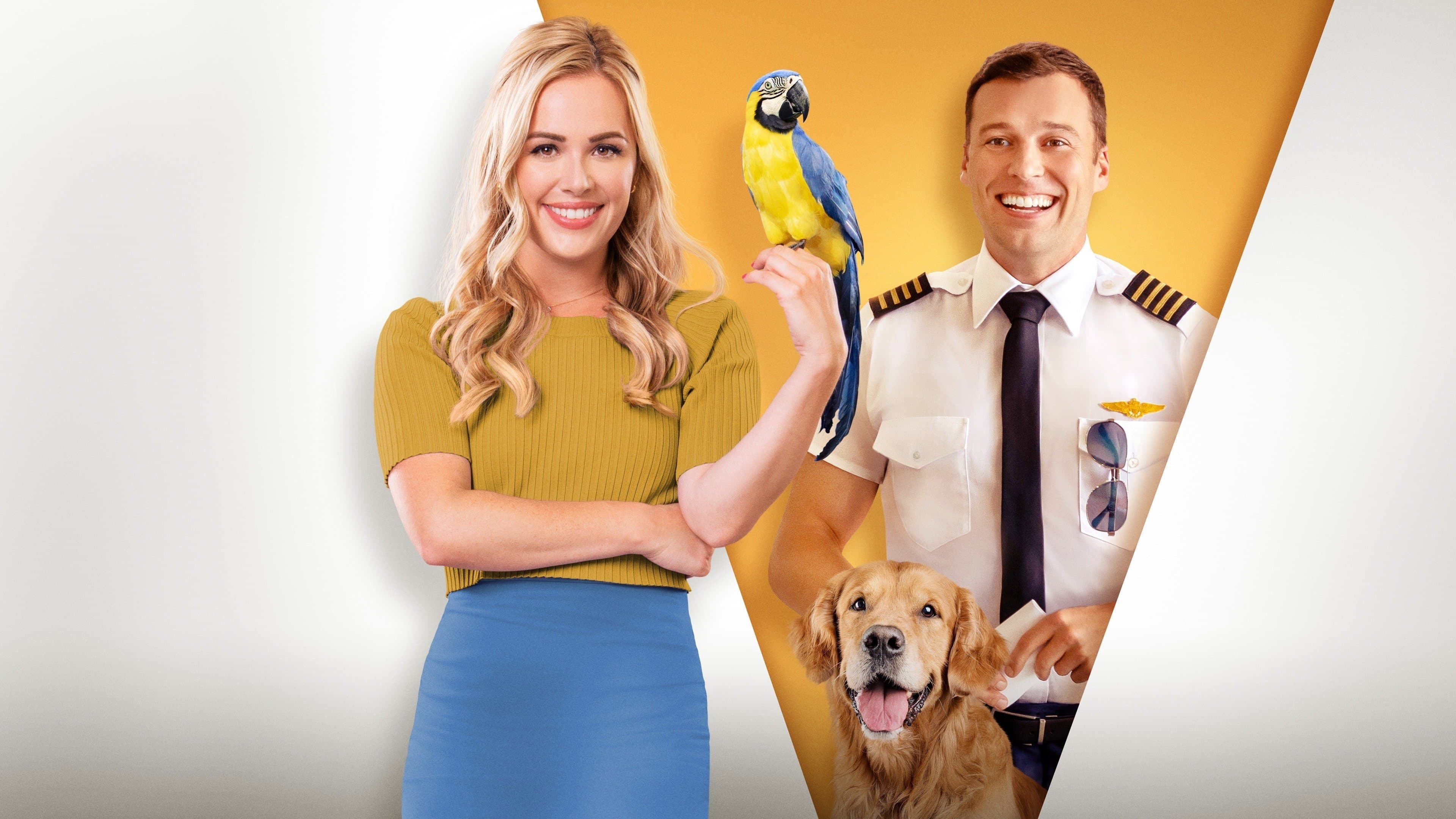 Un pappagallo tra le nuvole