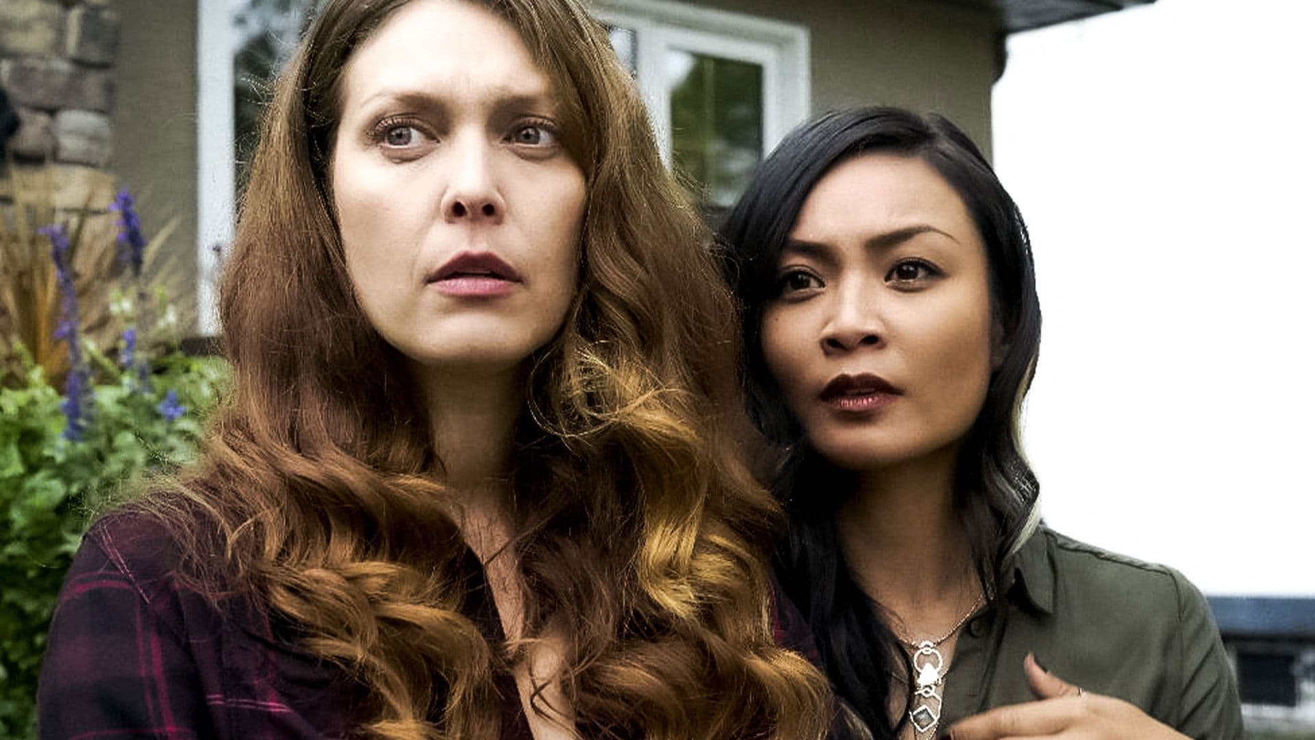 Il donatore perfetto