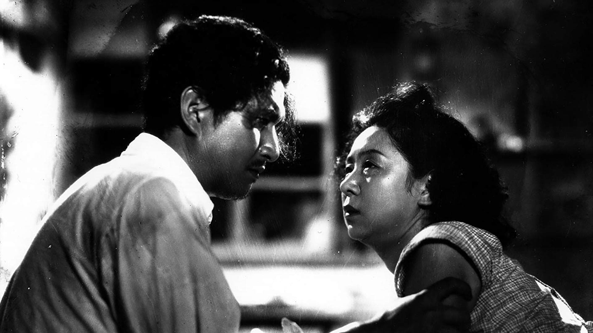 Una gallina nel vento