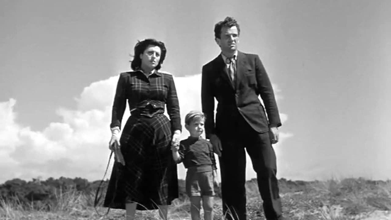 Molti sogni per le strade