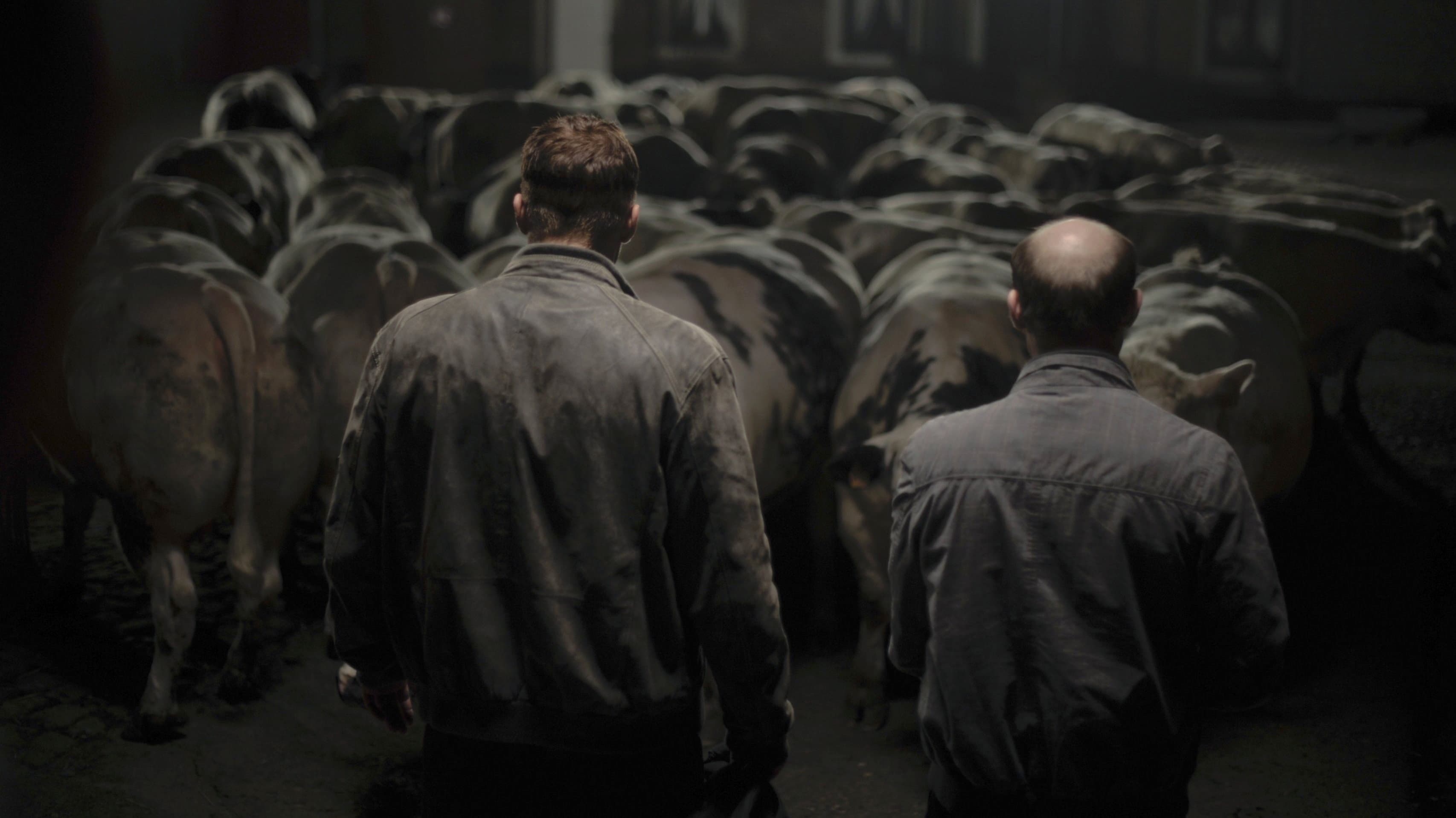 Bullhead - La vincente ascesa di Jacky