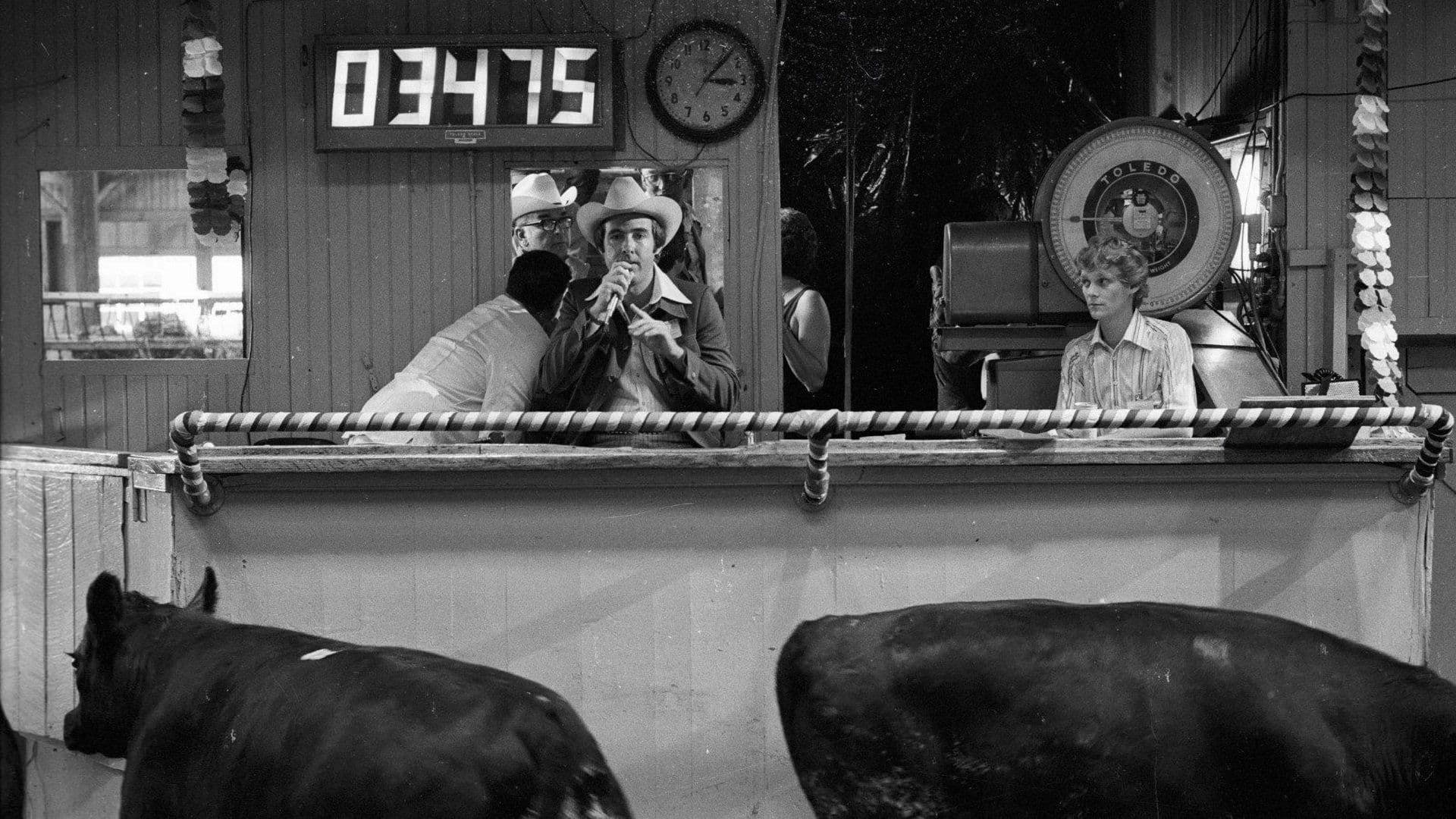 How much wood would a Woodchuck Chuck