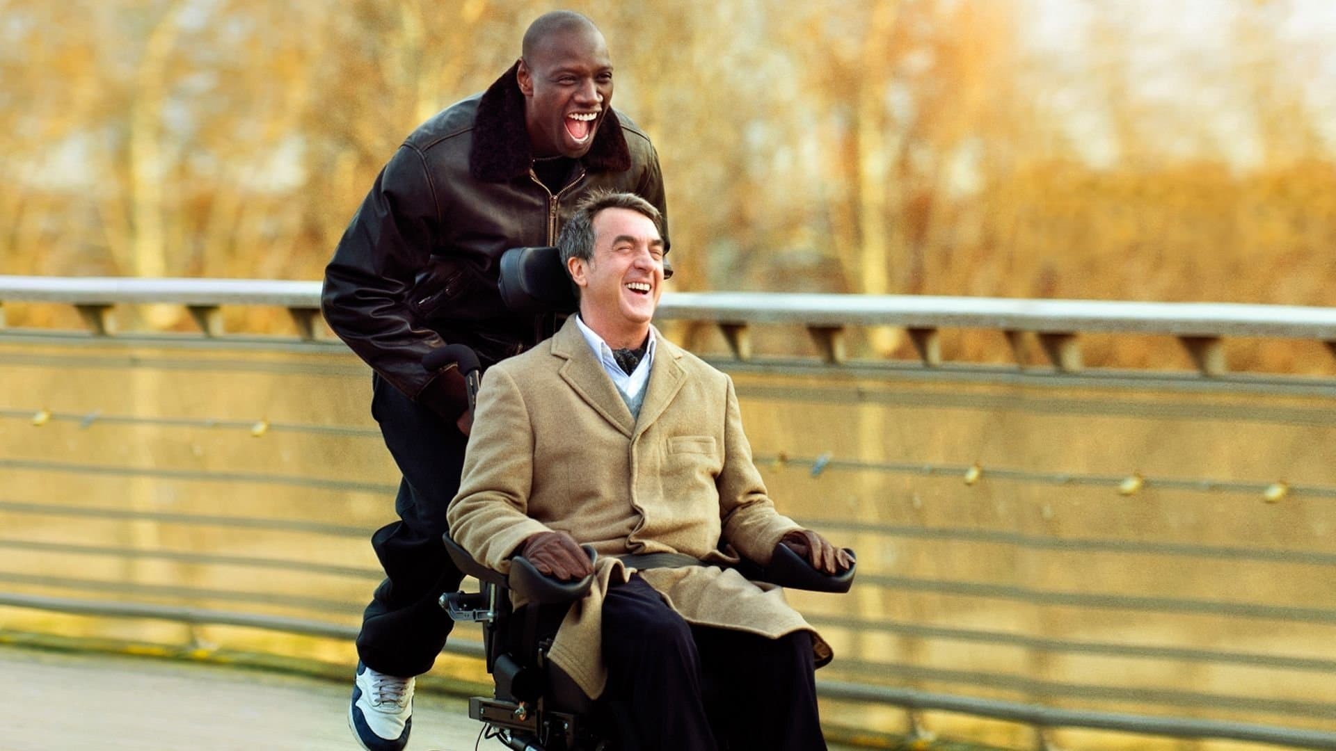 Quasi amici - Intouchables