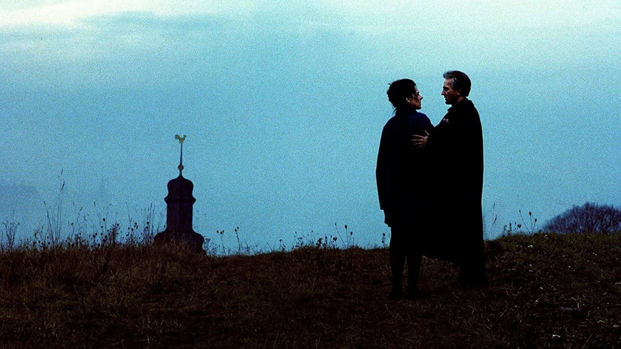 Heimat 3 - Cronaca di una svolta epocale