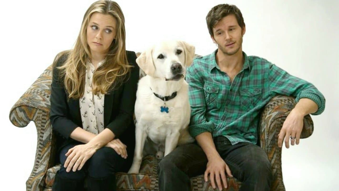 Mozart, un cane per due