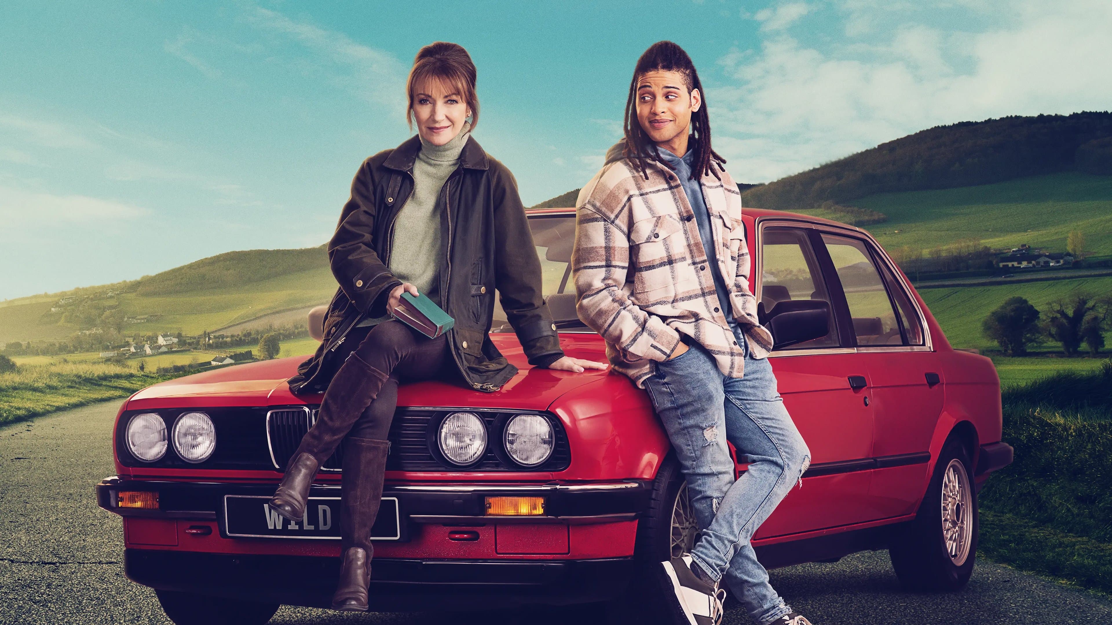 Harry Wild - La signora del delitto