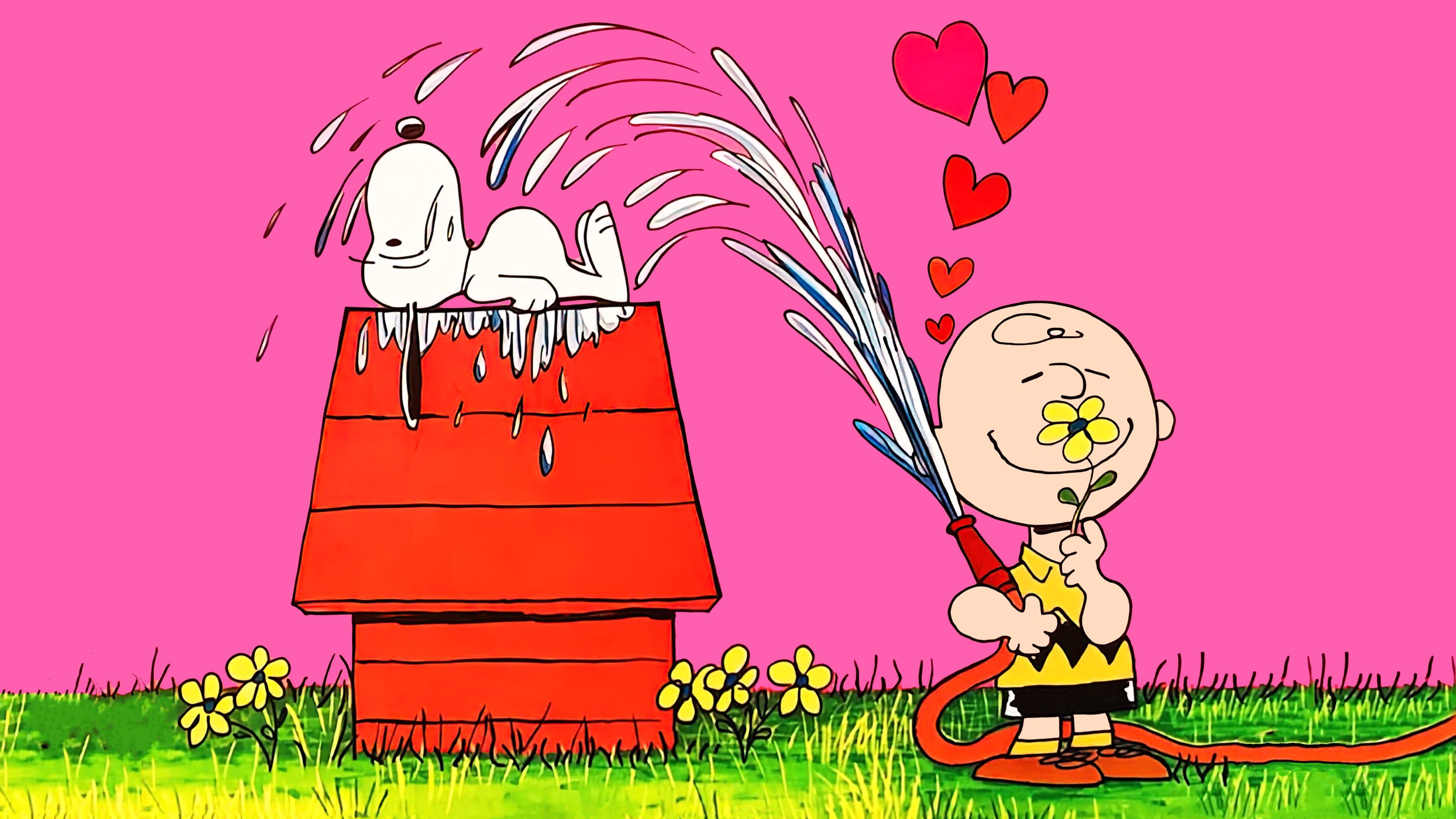 Hai preso una cotta, Charlie Brown!