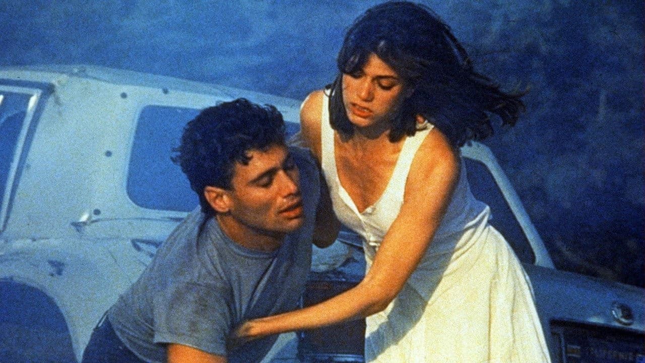 Wildfire - All'improvviso un maledetto amore