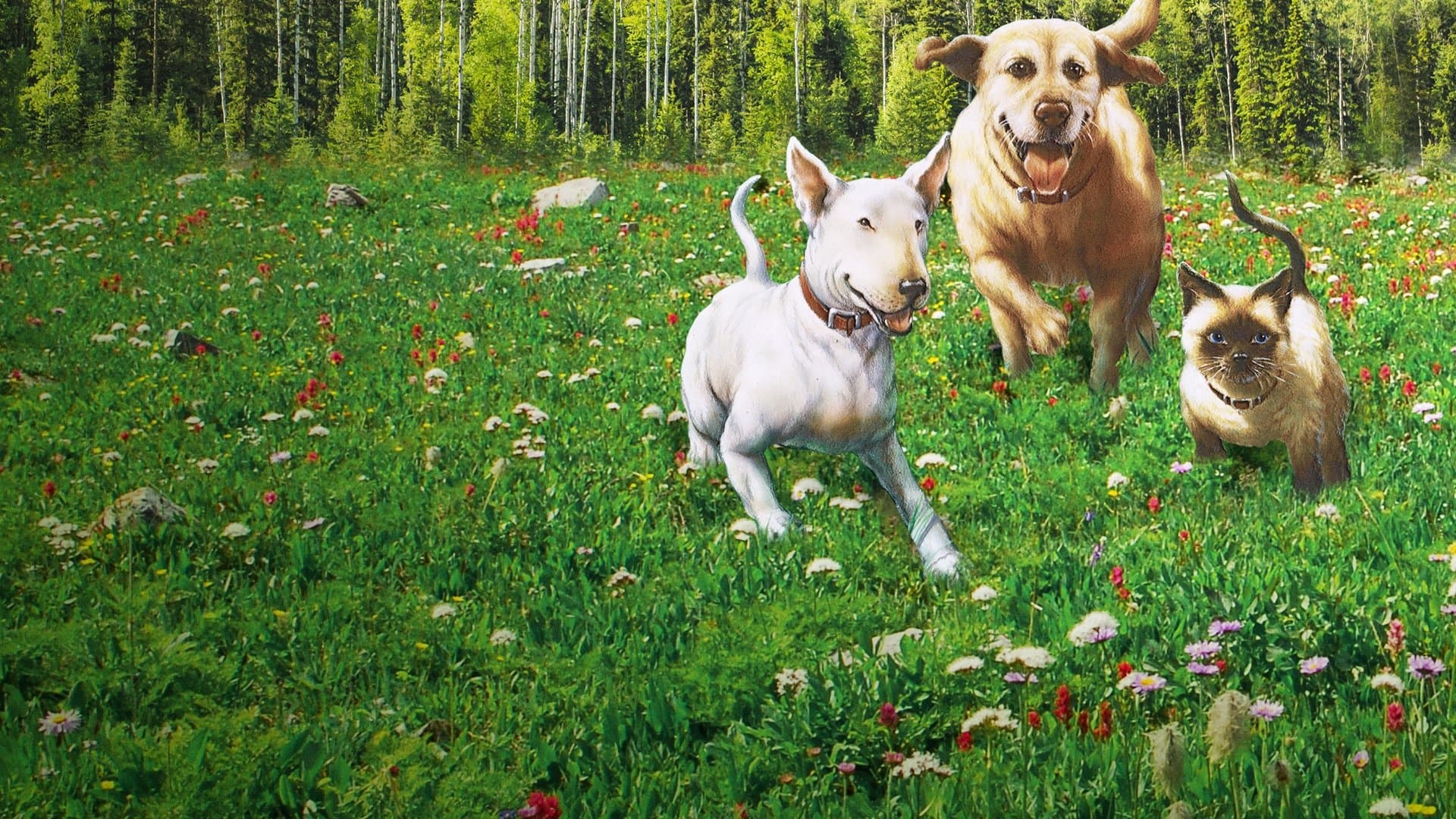 L'incredibile avventura