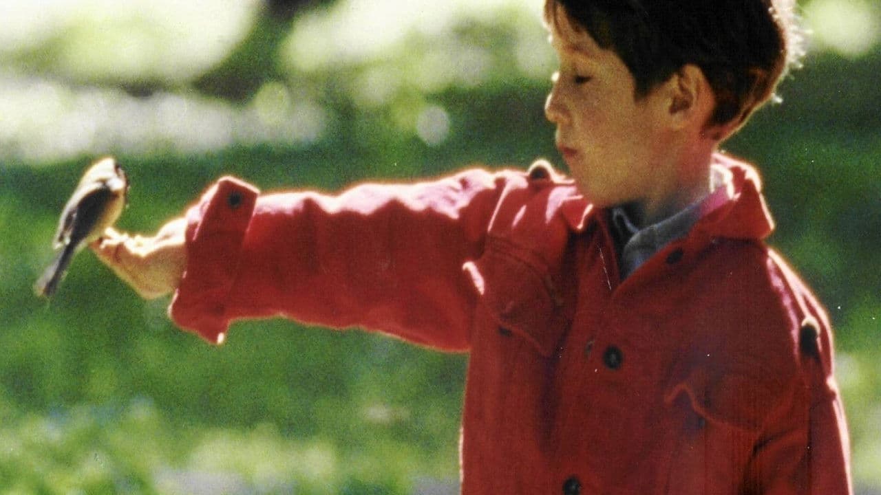 Wszystko może się przytrafić