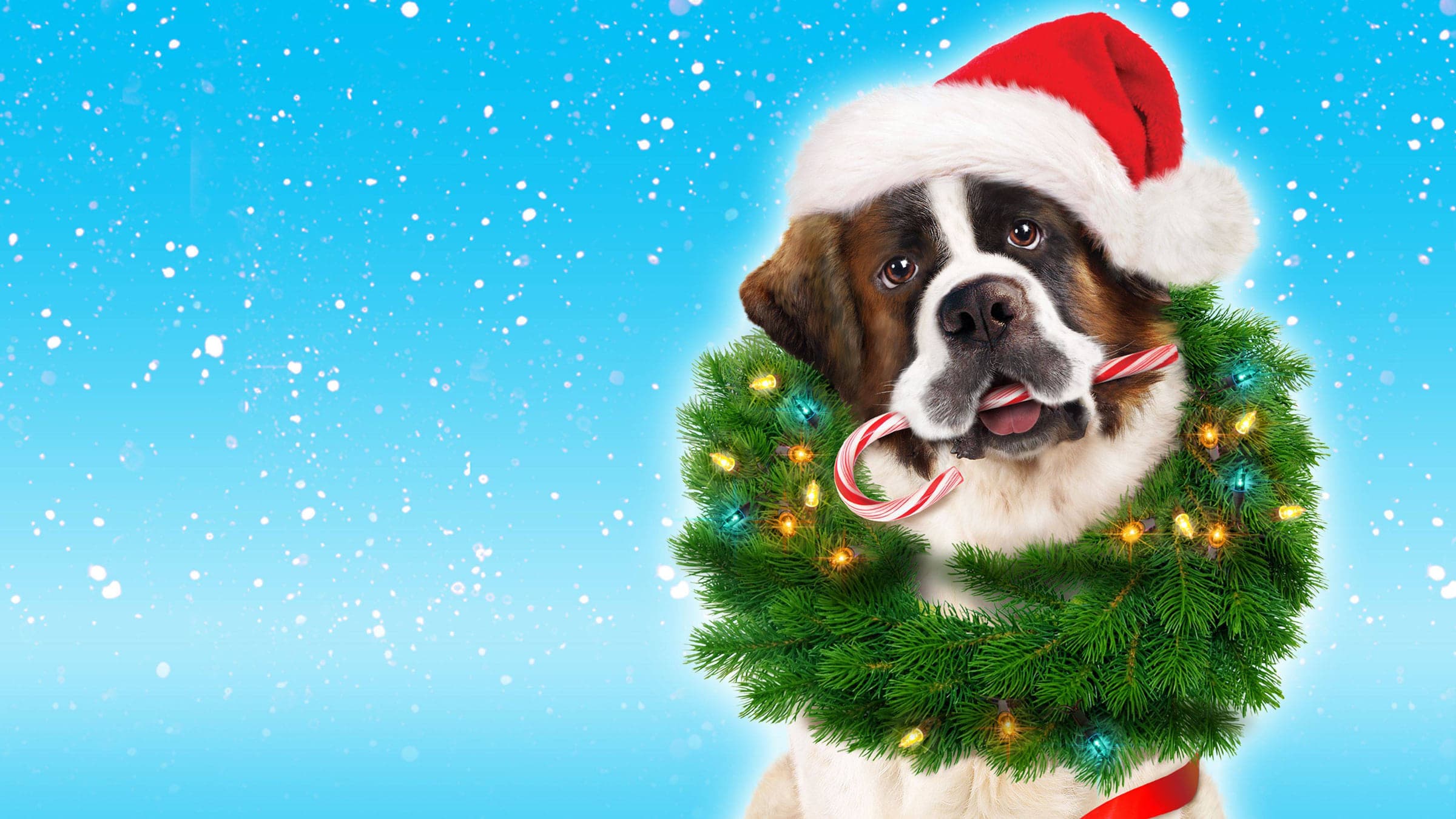 Beethoven - L'avventura di Natale