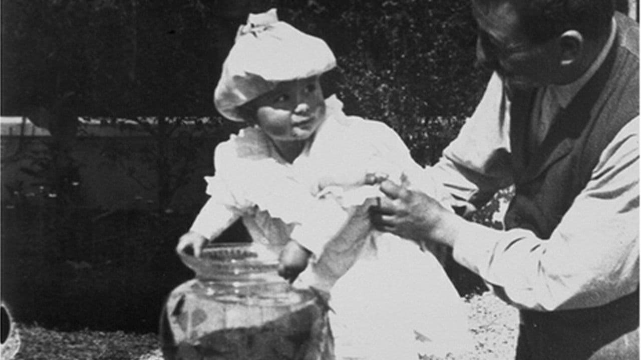 La pêche aux poissons rouges