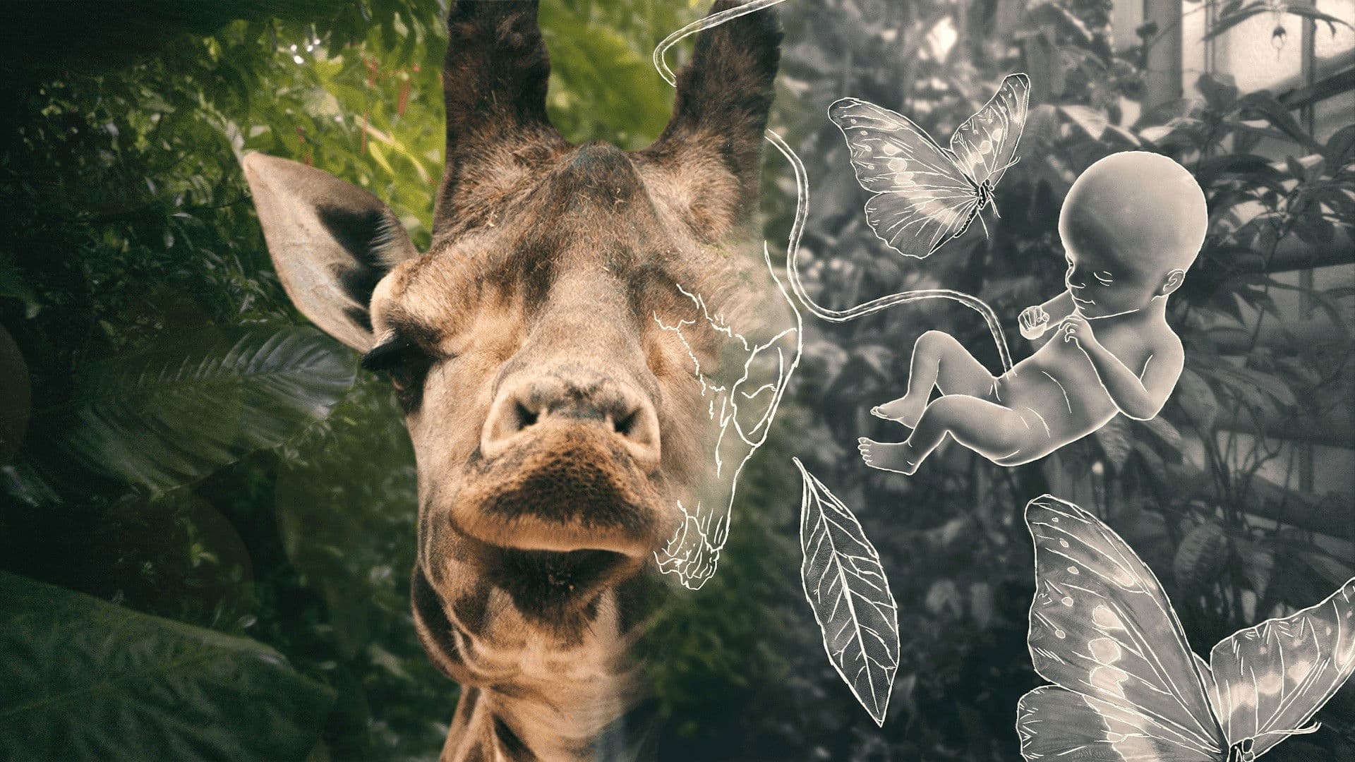 Livet og andre problemer