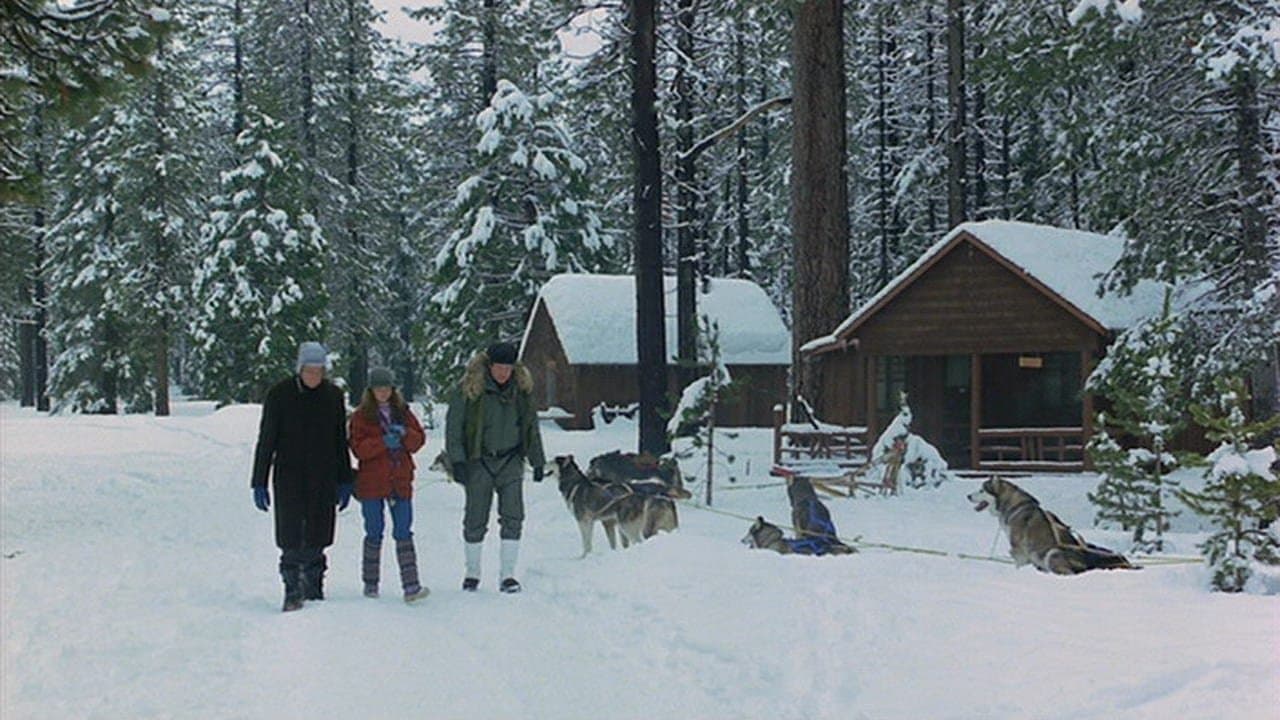 Come ti ammazzo un killer