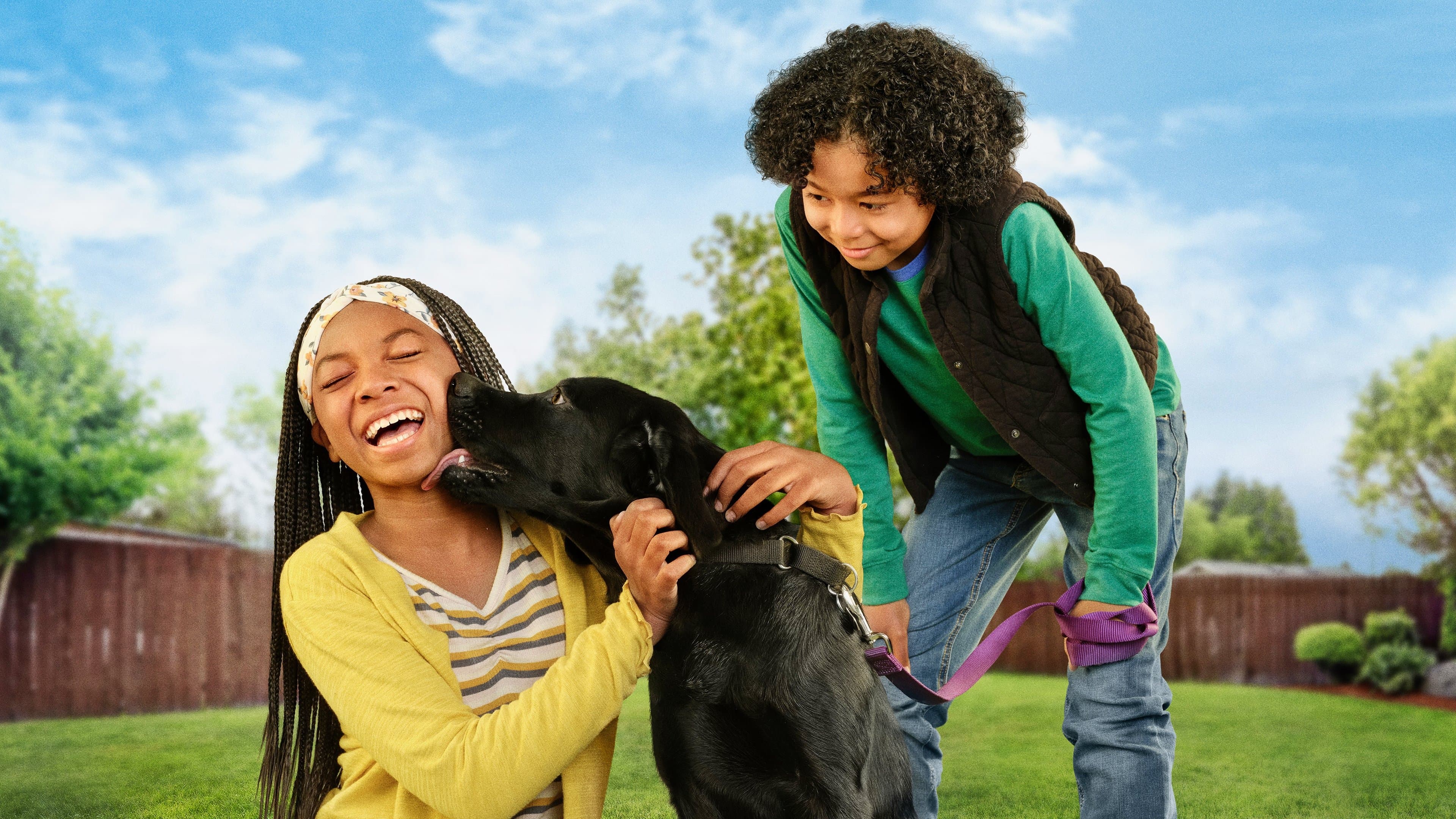 Cuccioli cercano casa