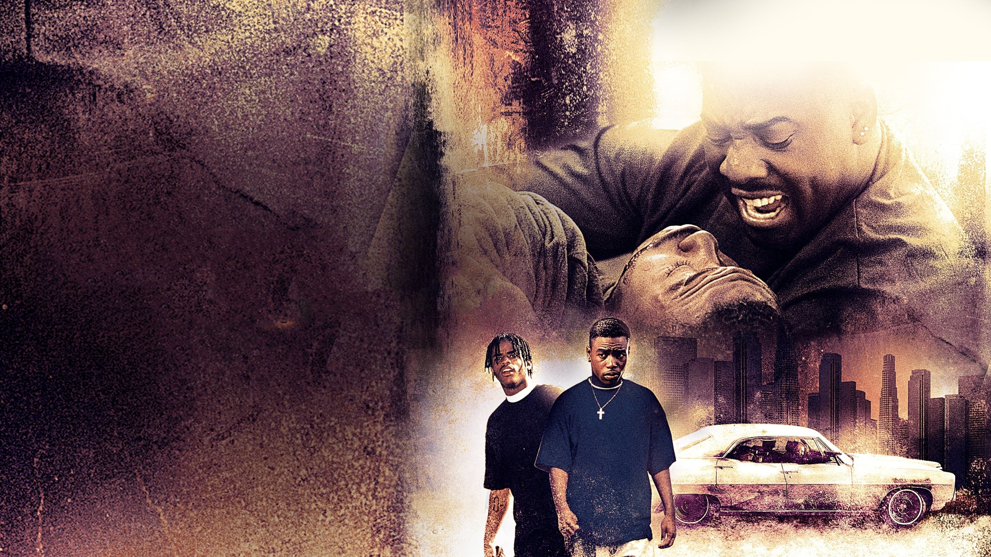 Nella giungla di cemento