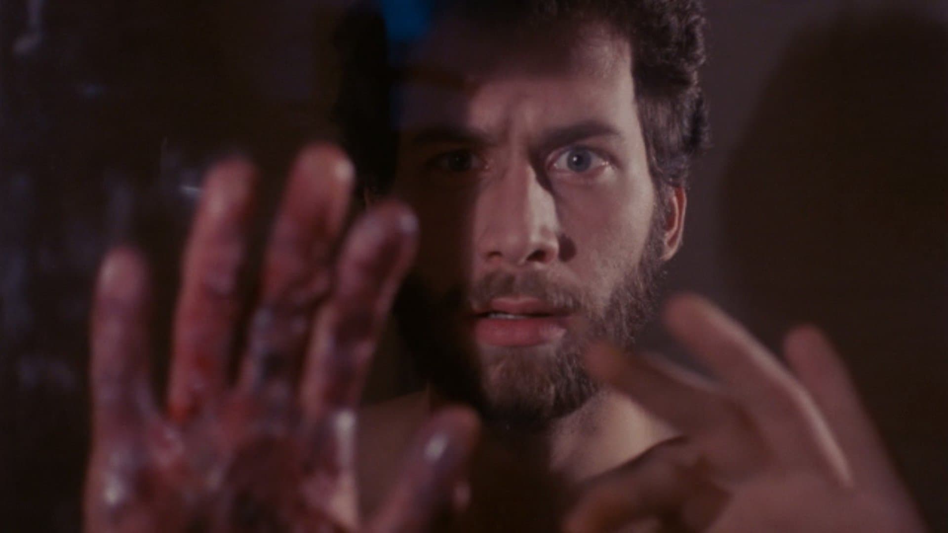 I morti viventi sono tra noi