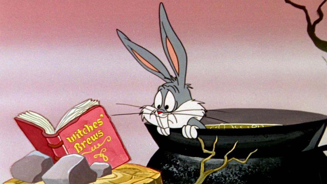 Il coniglio tuttofare della strega