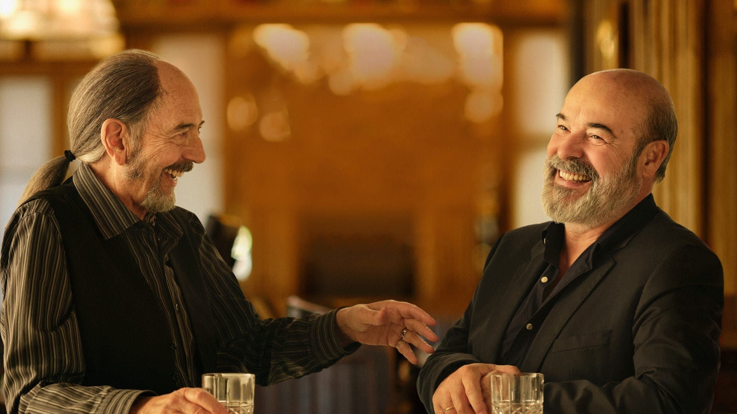 Sentimos las molestias