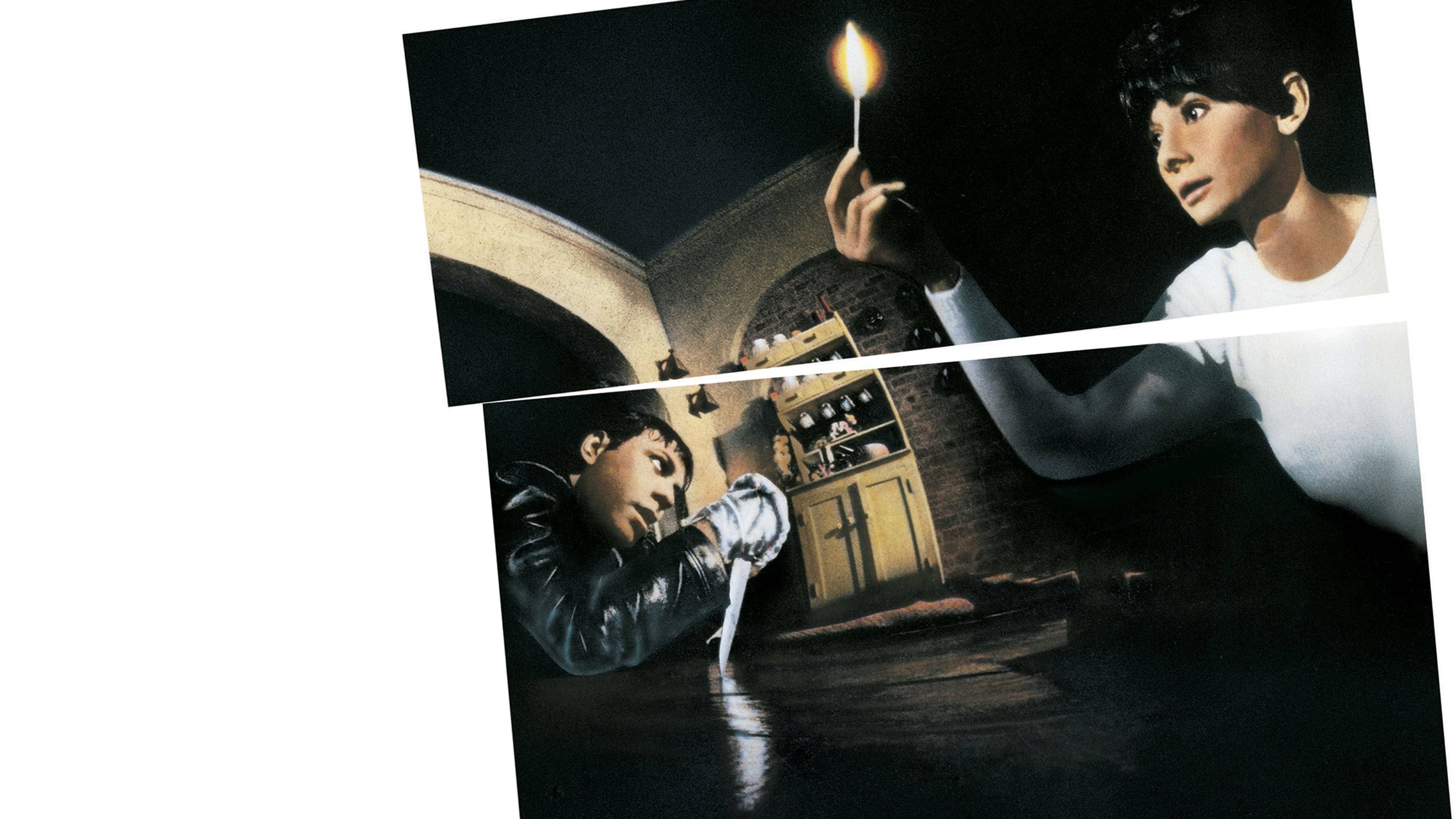 Gli occhi della notte