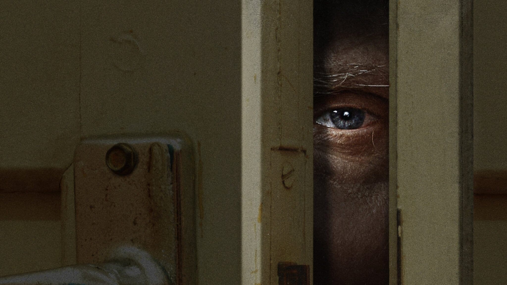 Coinquilini impossibili