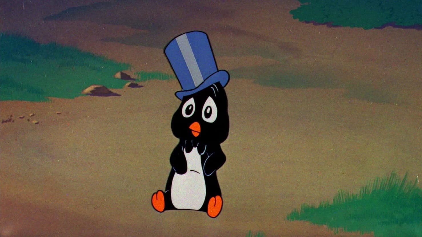 Il coniglio e il pinguino