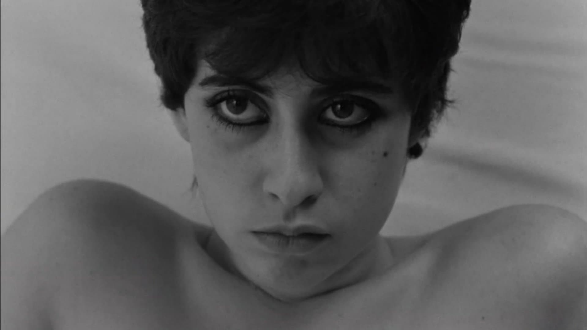 Eu sei que vou te amar