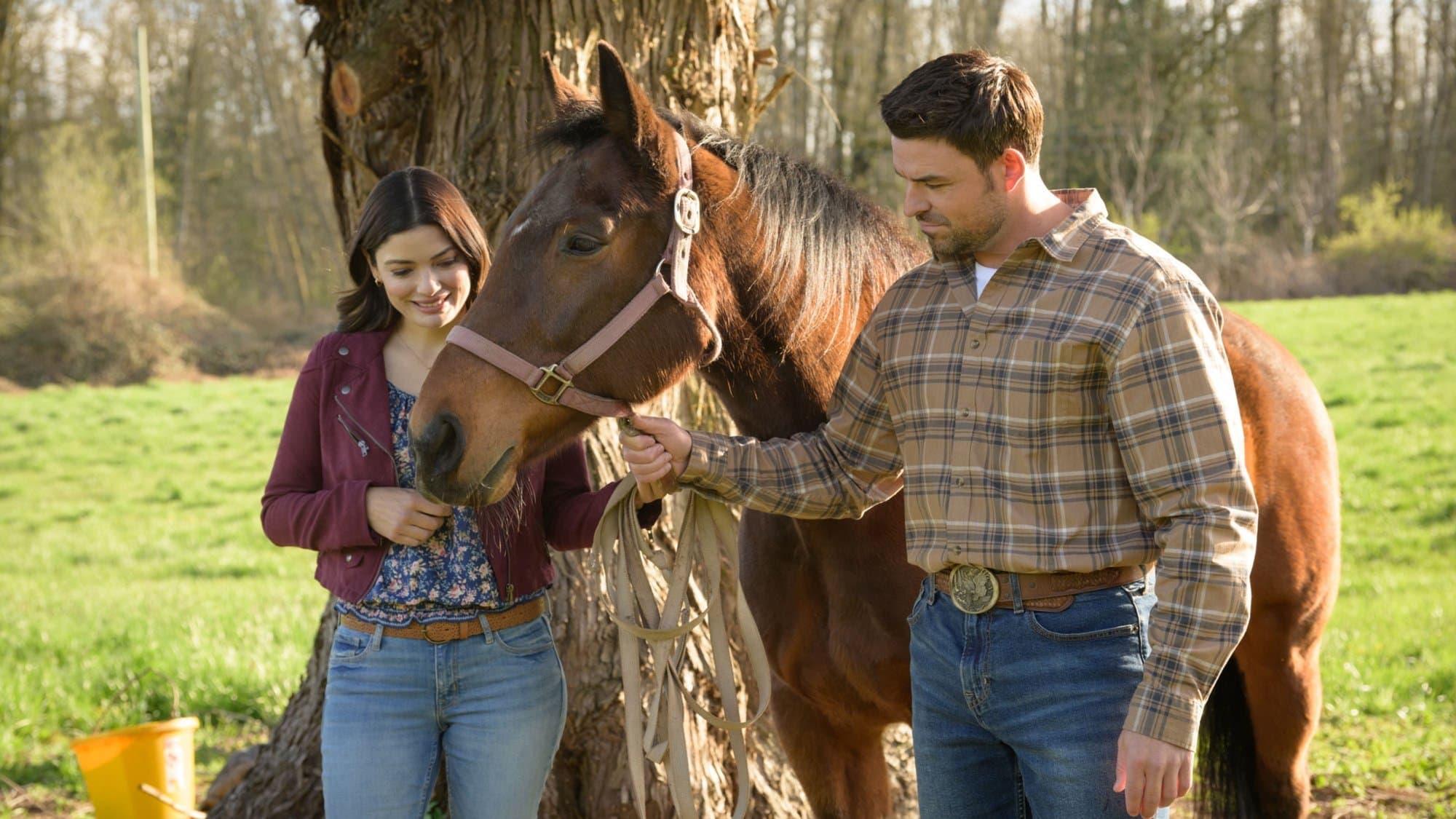 In politica e in amore