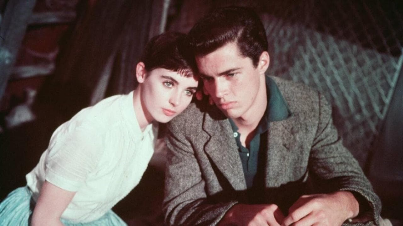 Il diario di Anna Frank