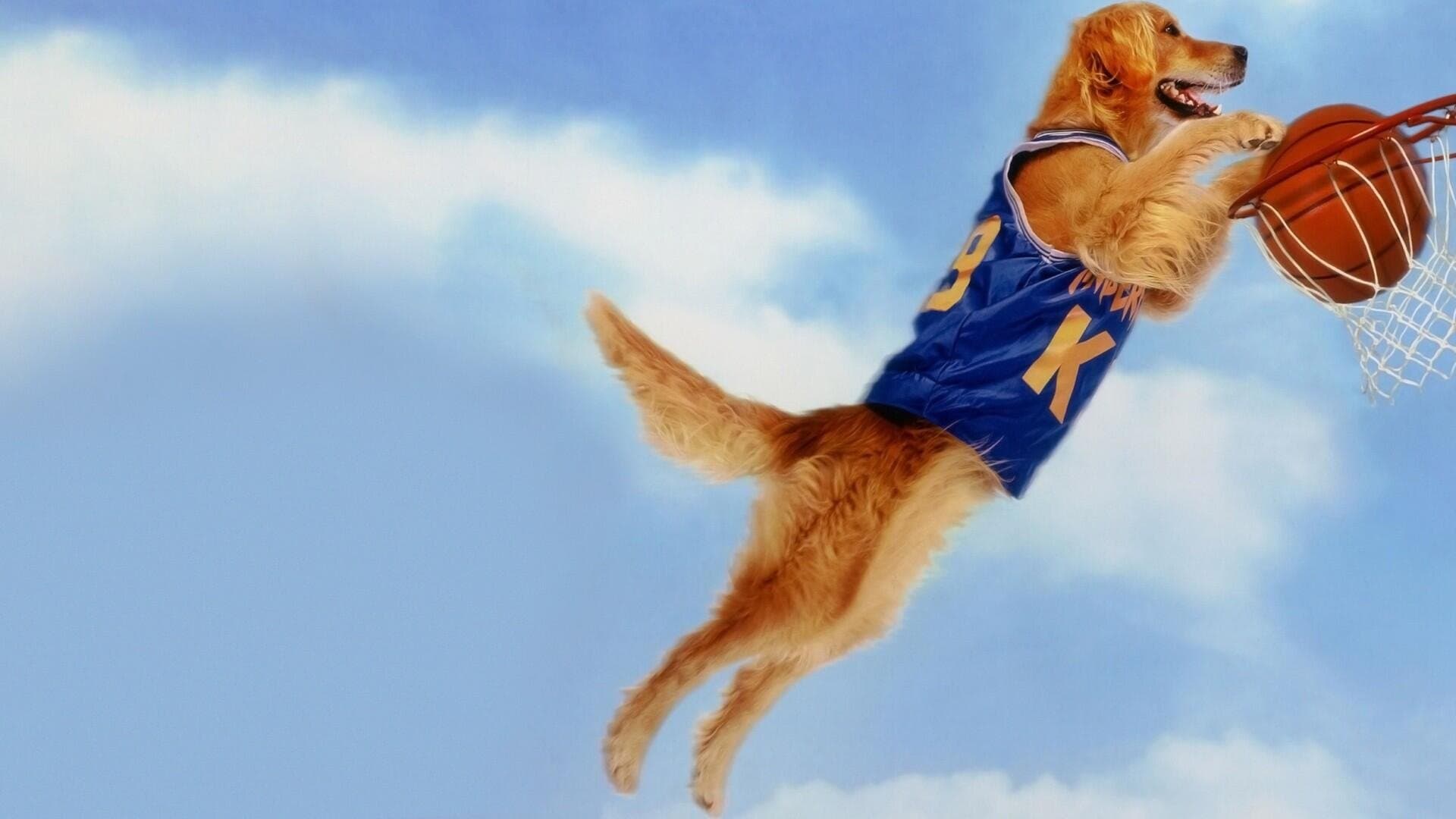 Air Bud - Campione a quattro zampe