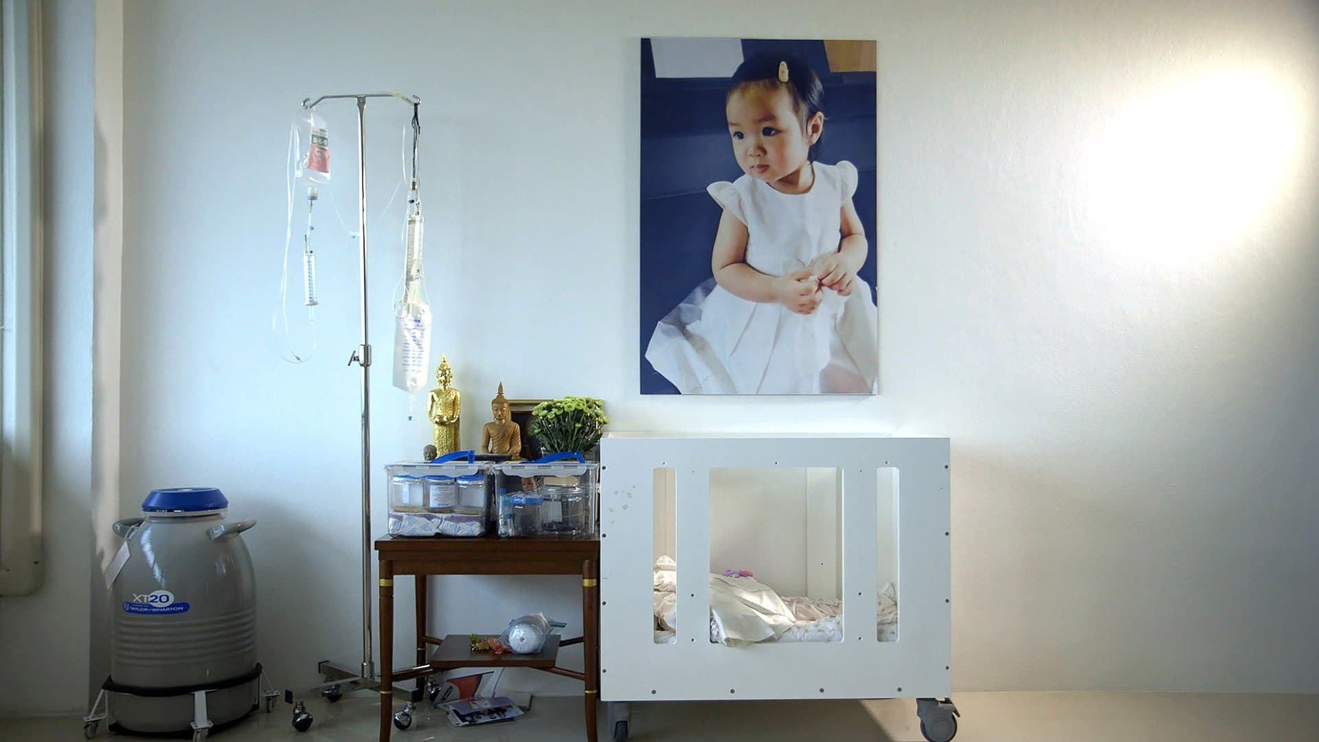 Hope Frozen: si può vivere due volte?