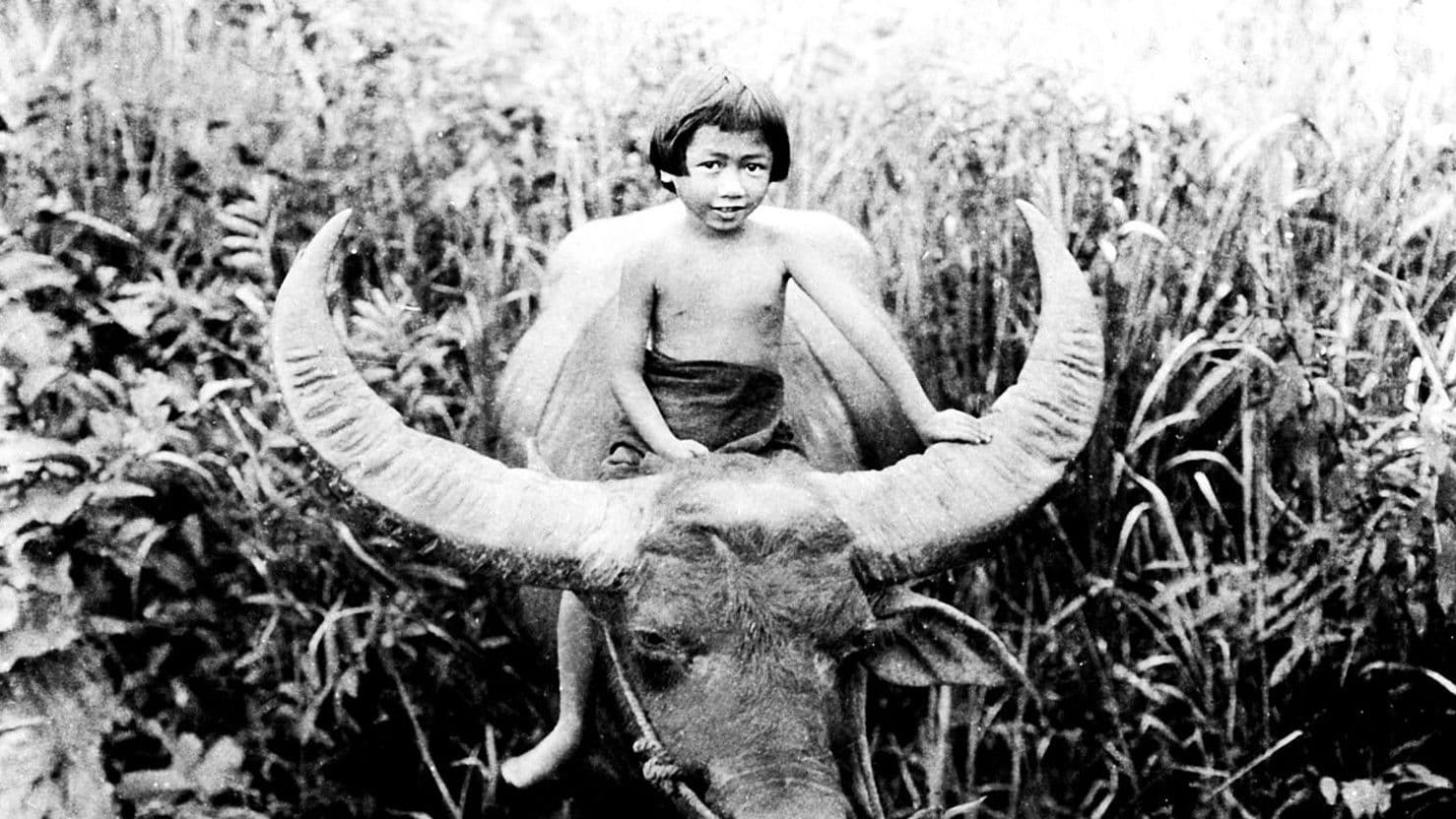 Chang: La giungla misteriosa