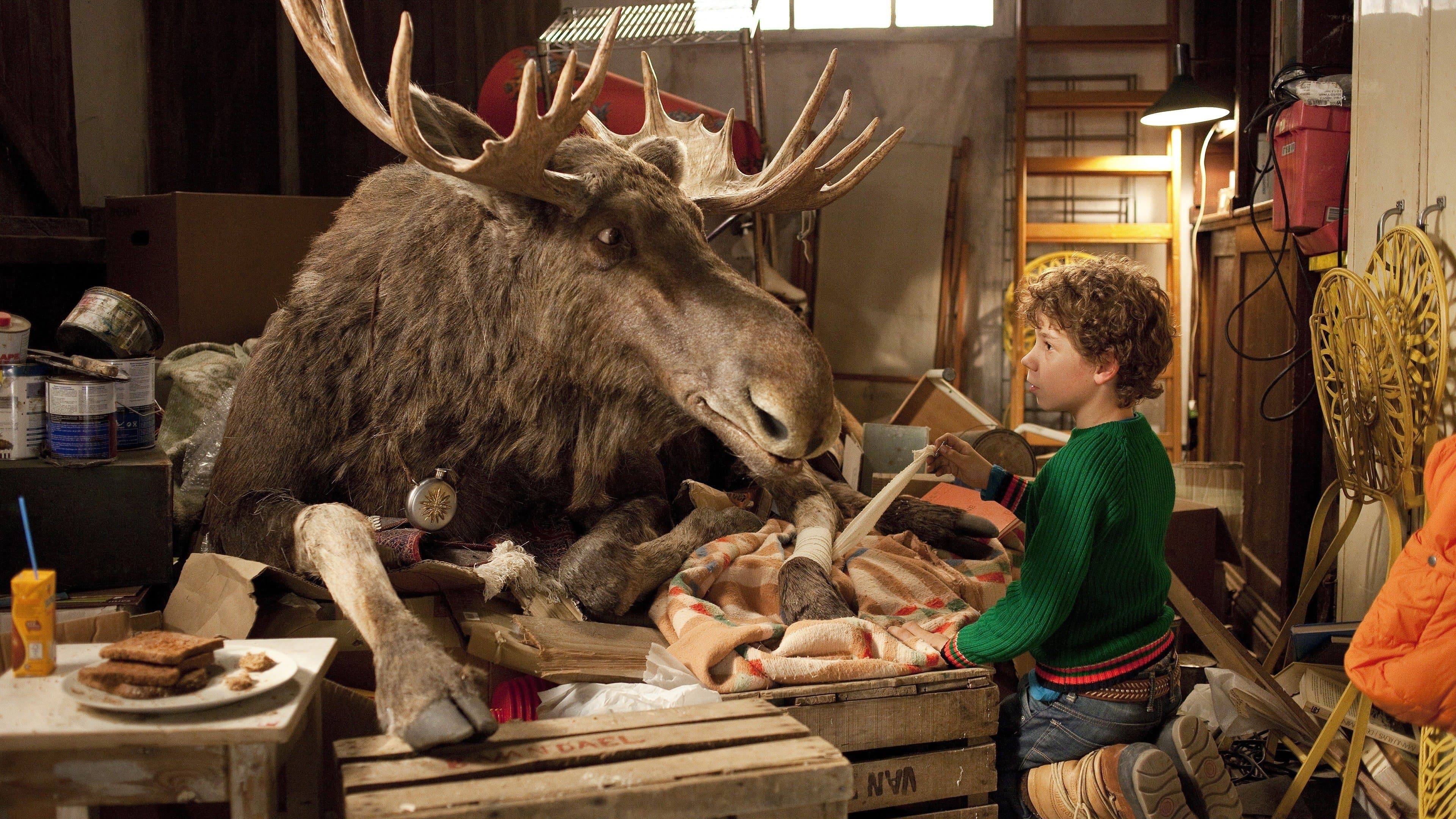 Un alce sotto l'albero