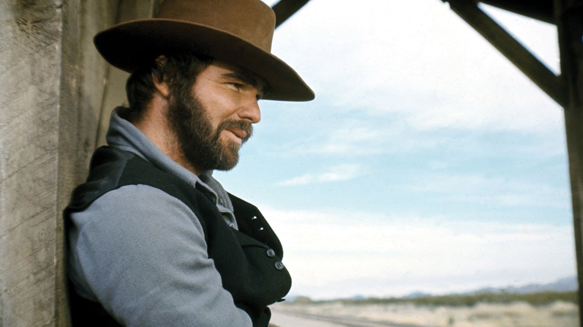 L'uomo che amò Gatta Danzante