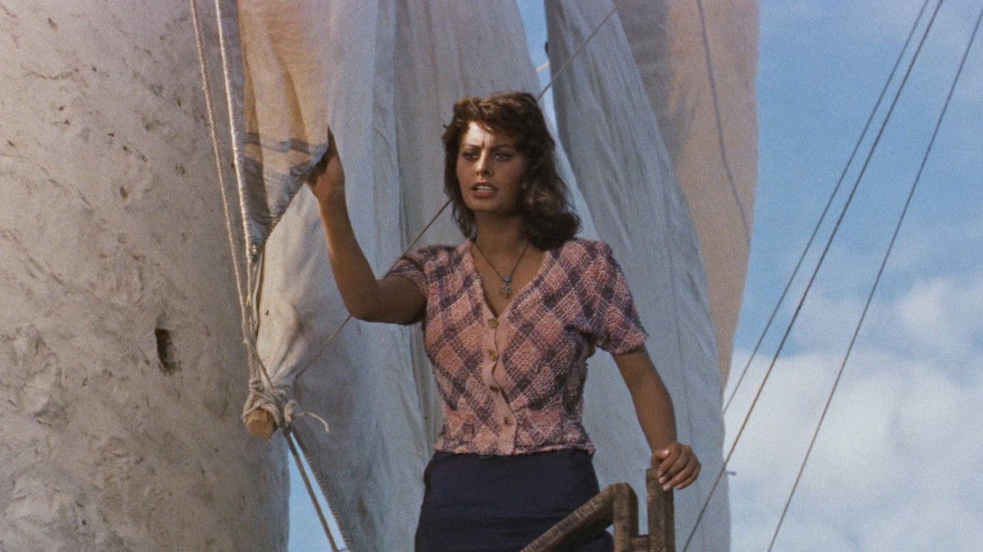 Il ragazzo sul delfino