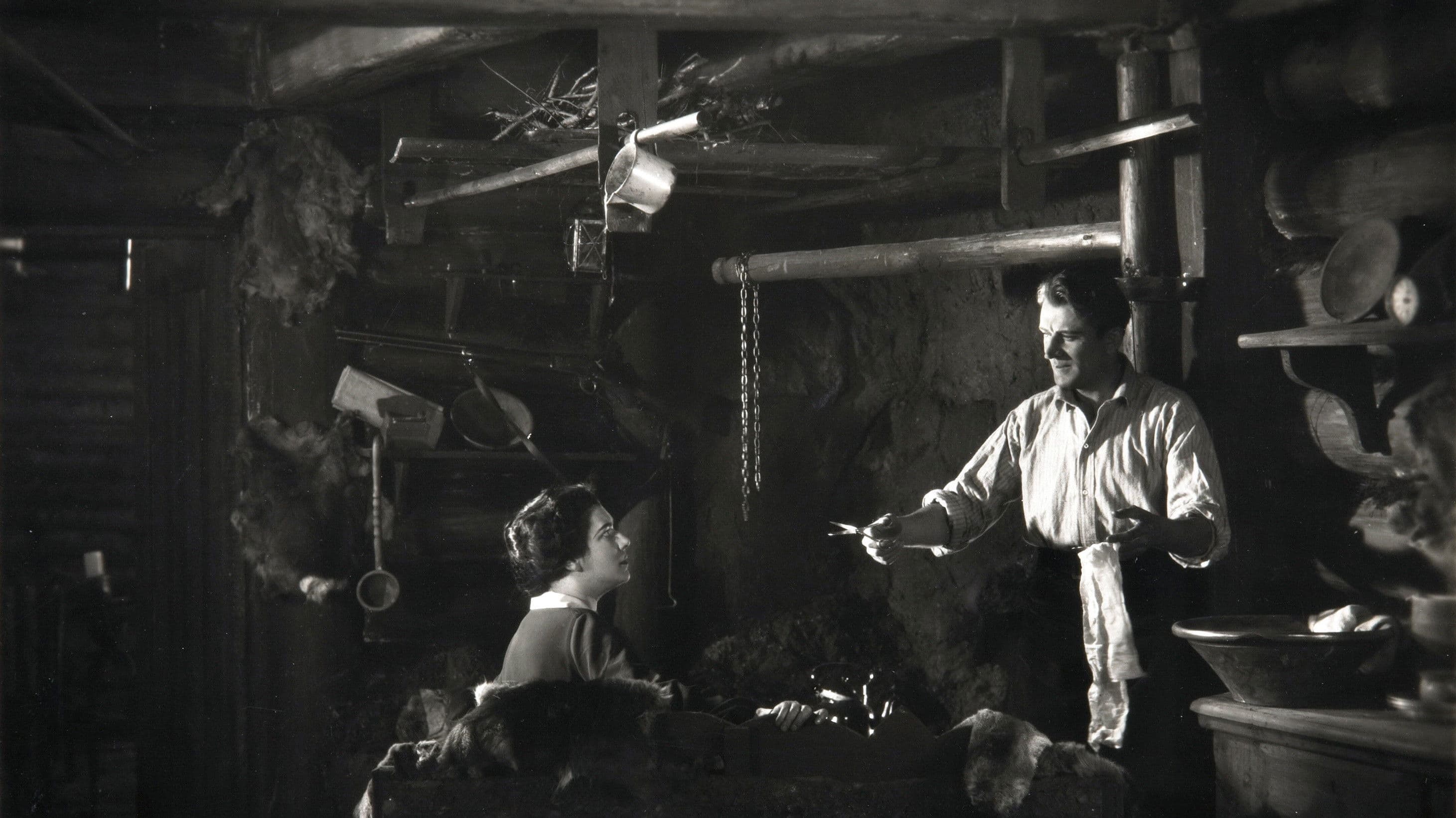 L'aquila della montagna