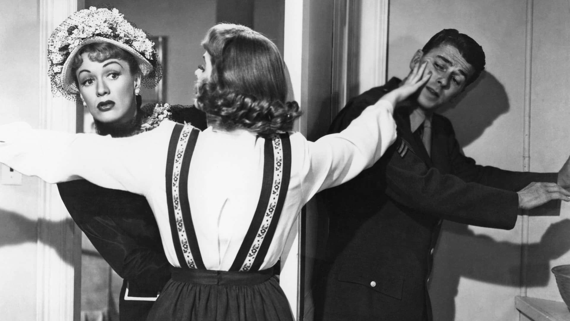 La voce della tortora