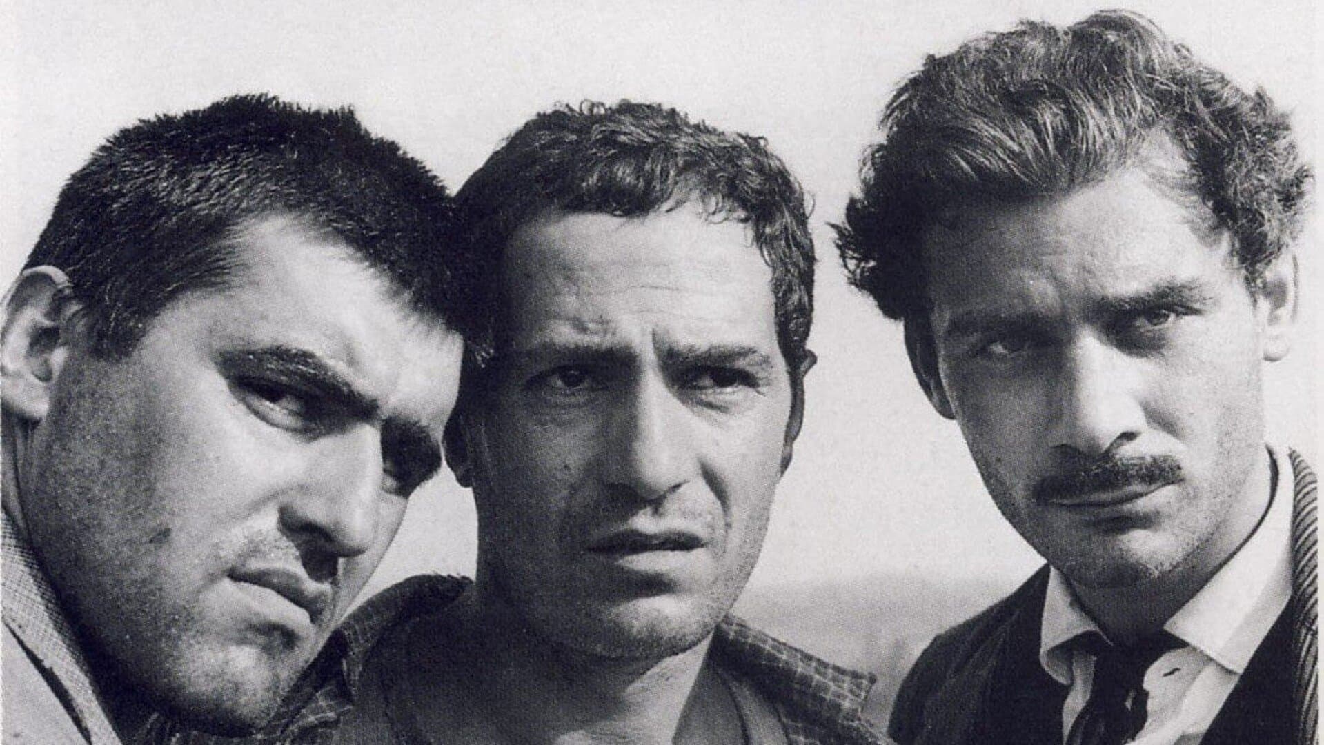 A cavallo della tigre