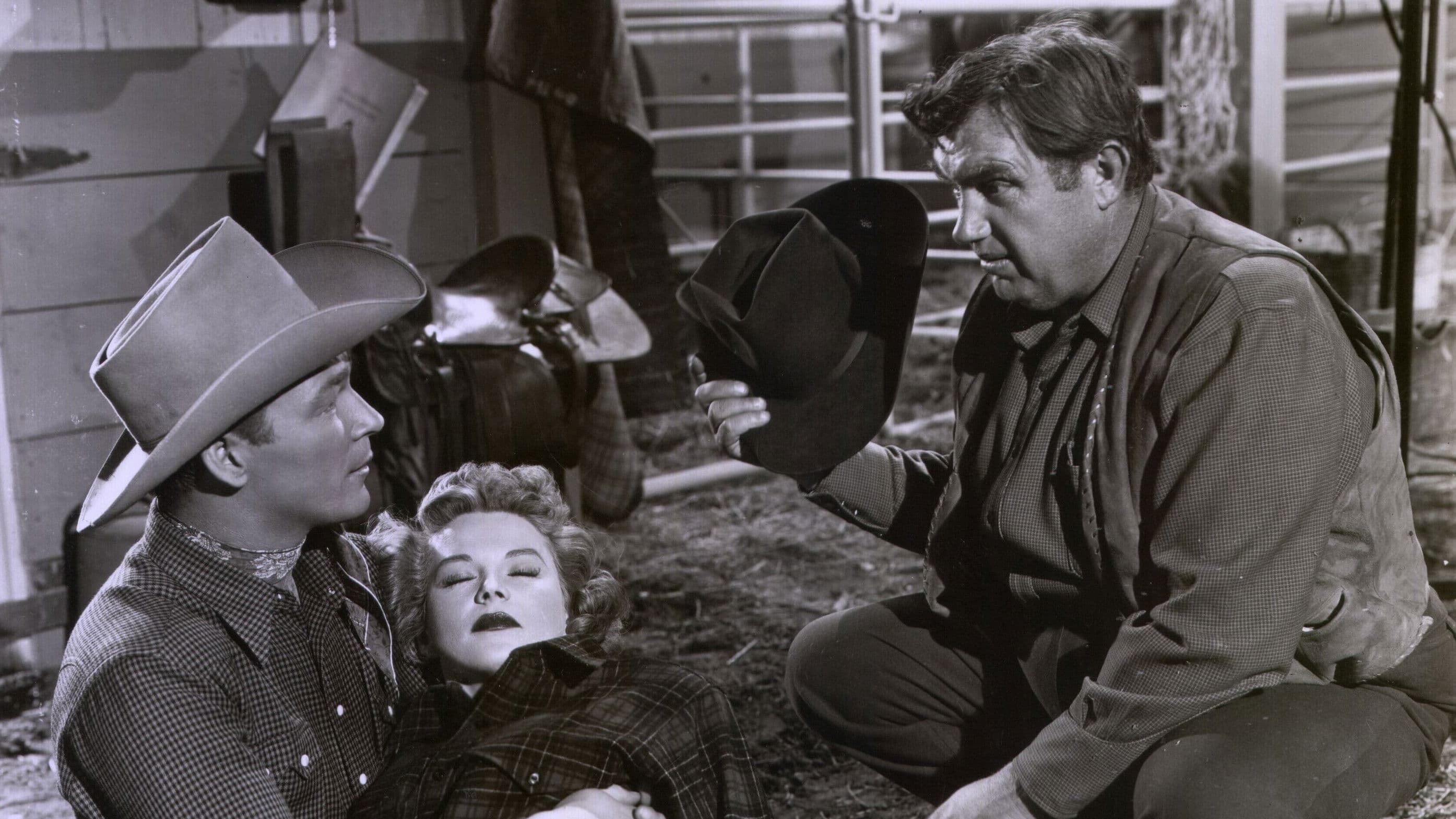 Sotto le stelle della California